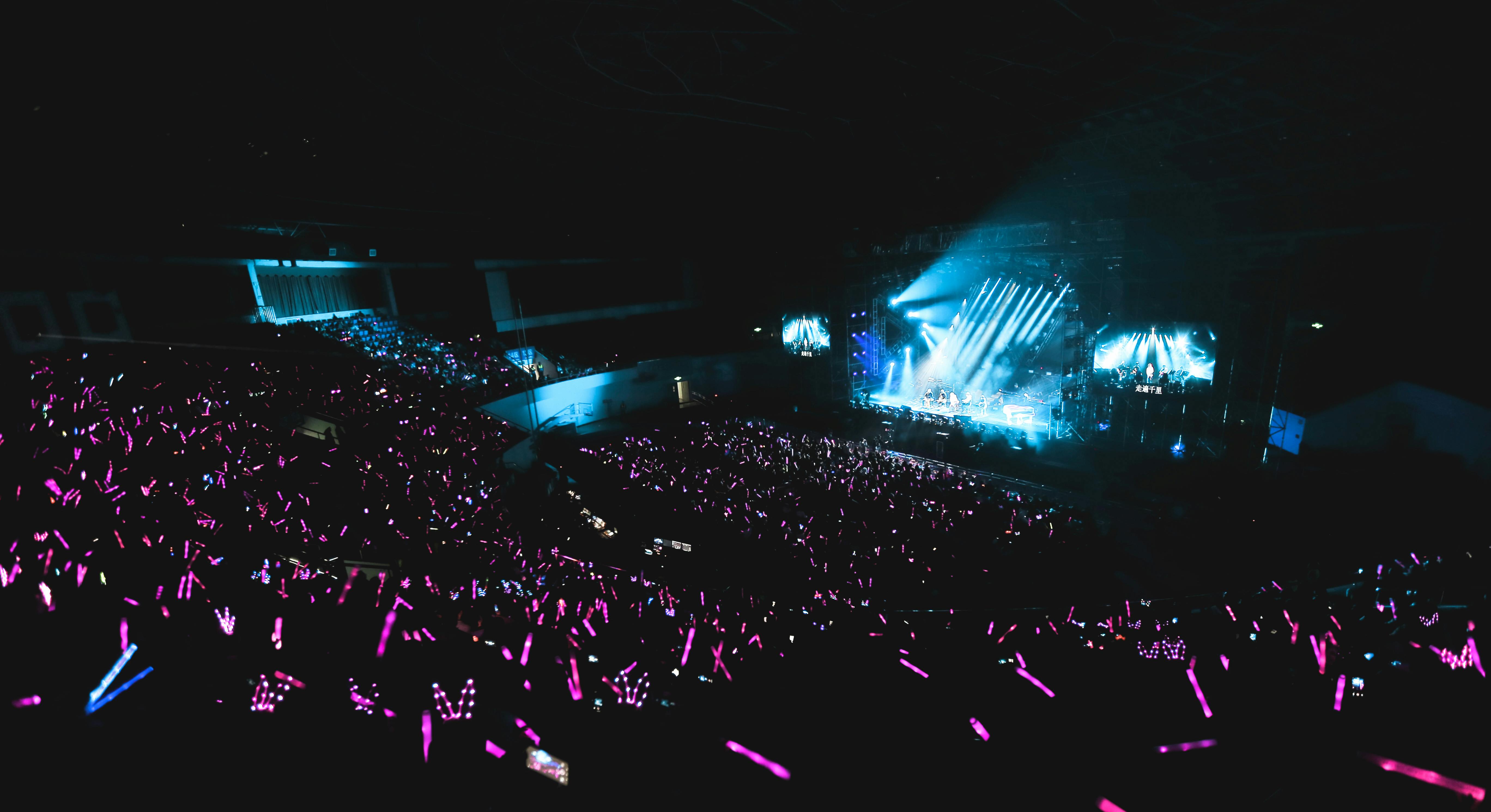 Music Festival Production